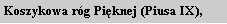 Text Box: Koszykowa róg Pięknej (Piusa IX), 